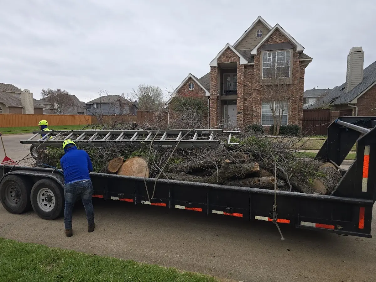 Expert Lot Clearing with proper safety equipment in Norwalk